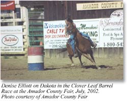 Amador County Fair