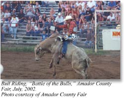 Amador County Fair