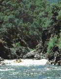experts on the river