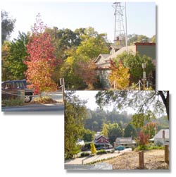 Fall In Amador