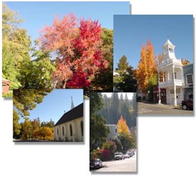 Fall in Nevada city