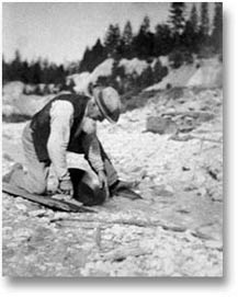 Olde miner panning in stream