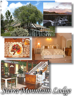 Hounds Tooth Inn